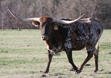 MML Kickin It With Ex